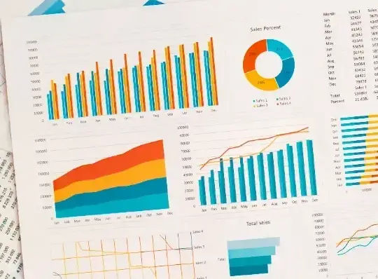 Elderly Care Support